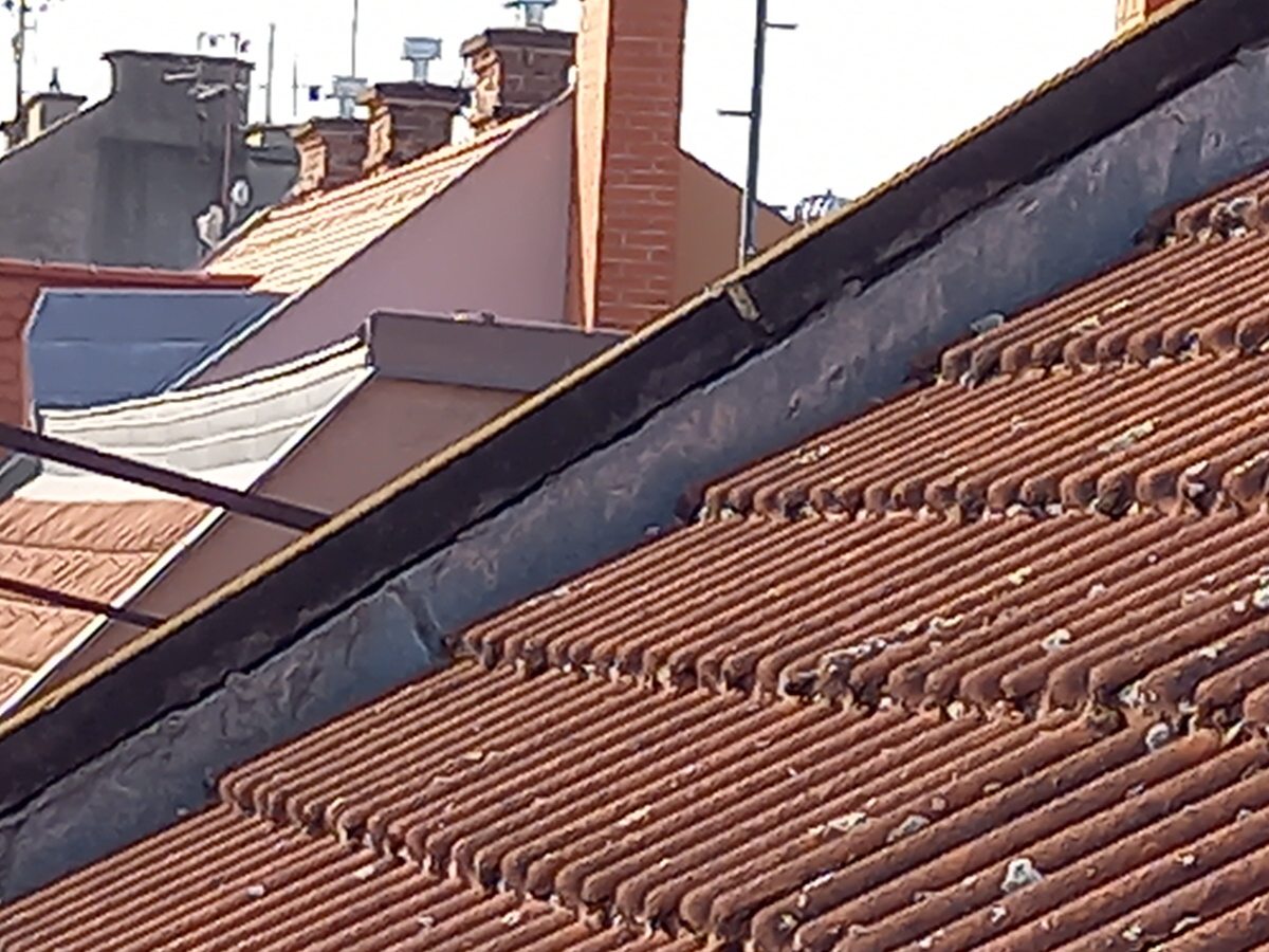 Čištění střešních žlabů Hradec Králové