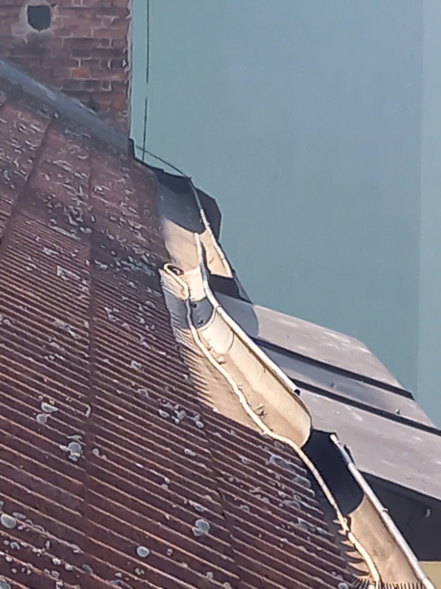 Čištění střešních žlabů Hradec Králové