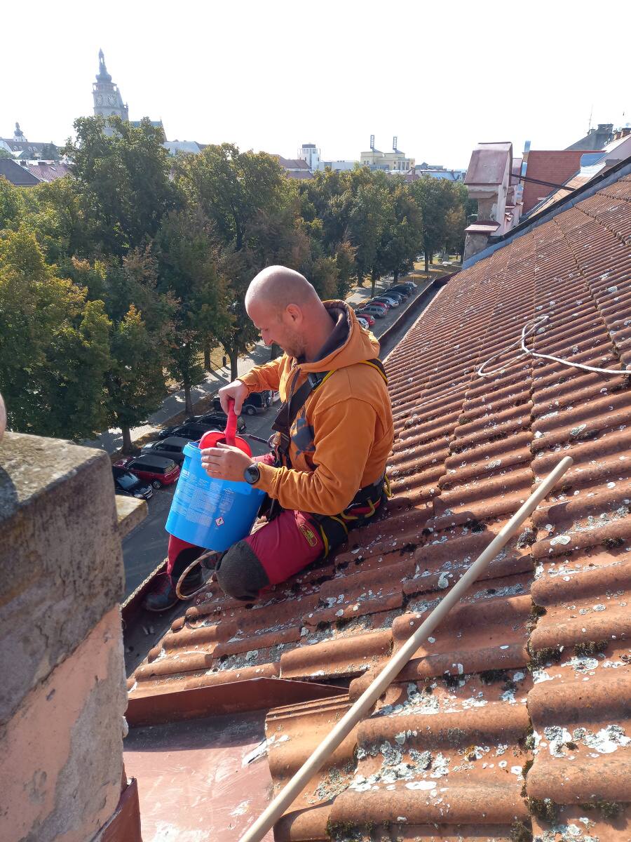 Čištění střešních žlabů Hradec Králové