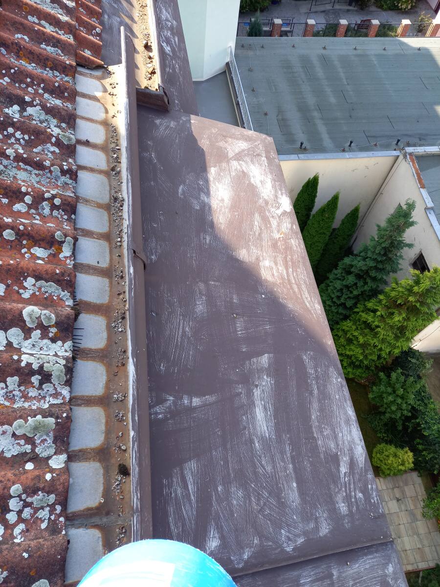 Čištění střešních žlabů Hradec Králové