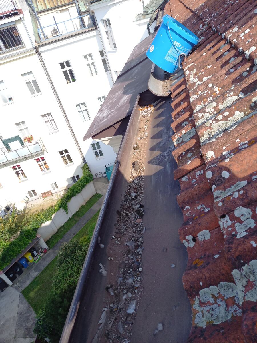 Čištění střešních žlabů Hradec Králové